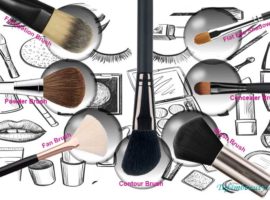 A Comprehensive Makeup Brush Guide for Making You A Pro 2
